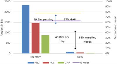 Digitalisation in the WFP fresh food voucher programme: a pilot study from rural Amhara region, Ethiopia